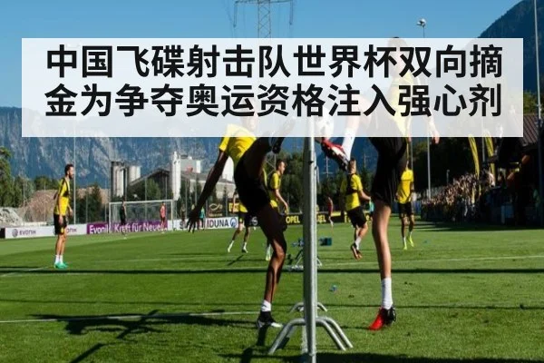 中国飞碟射击队世界杯双向摘金为争夺奥运资格注入强心剂